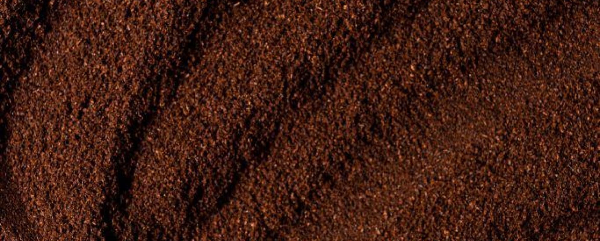 Freshly ground coffee filling the frame